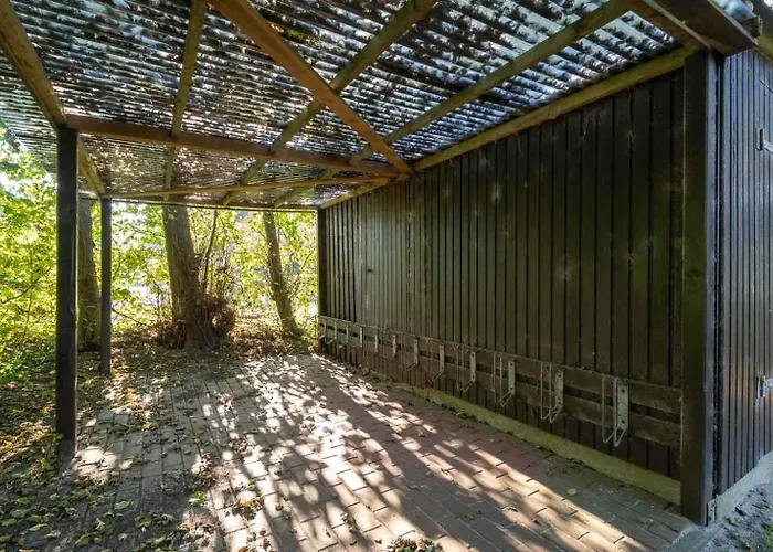 1 Duenensonne Eg Id 227 * Böhl